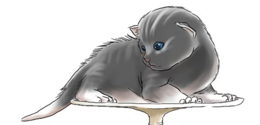 tumblr_50103fe1d71ee4c6bbc2cbf5f9fe8872_296feff3_1280.png