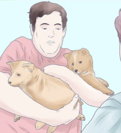 tumblr_1f5b48674075a0523107cc0b286e7b89_f8b72144_1280.png