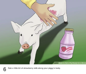 tumblr_5b0b750cc0822ebcfd06e0d37ba2af12_02c1abc4_1280.png