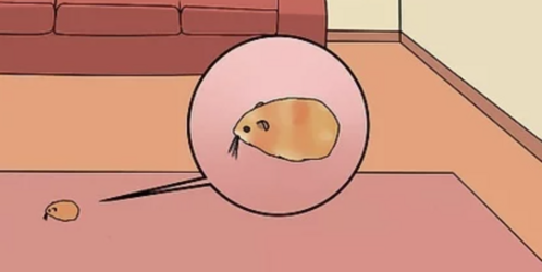 tumblr_e9fd9dd29dd87396b410310e31629dd0_666aed7f_1280.png
