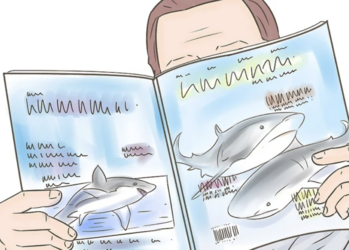 tumblr_6a31fa55357a5ab8eb6ea9f7463787bd_fe3e0024_1280.png
