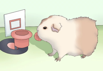 tumblr_47984c600e3413d5bcfaf4dec8abea68_ff7f4fbc_1280.png