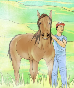 wikihow horse.png
