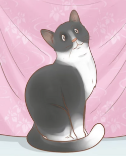 tumblr_1cb05d0fcee6b763d1dce9cba8fc6746_113b41c0_1280.png