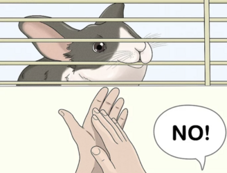 tumblr_041495c5758757af5918d1138f83e26d_61ed88d5_1280.png