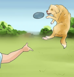 tumblr_1e1c5781d06b44fd06bdb23d2c89e095_b2b09ba4_1280.png