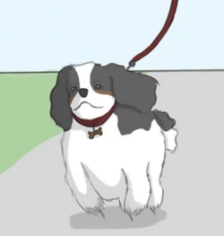 tumblr_aa6acac255d40a8228e0b89ac3edf5be_052ffdf7_1280.png