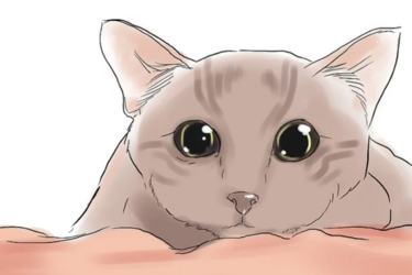 tumblr_a53efe21bd900badabb3b6e702d099e8_645bb80a_1280.png