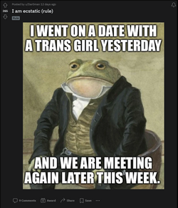1686993385366.png