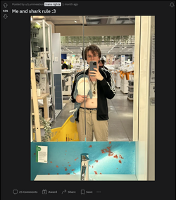 1686993543143.png