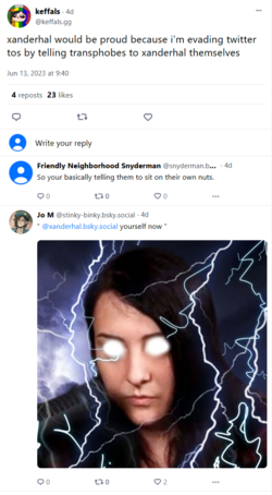 lucasspergery5.png