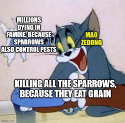 1687073061419.png
