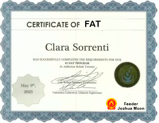 Lucas true certificate 2.png