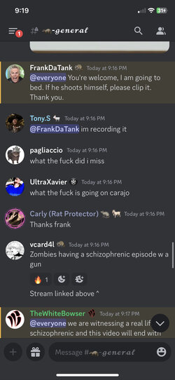 mt1.jpg