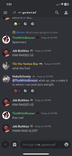 mt1 (5).png
