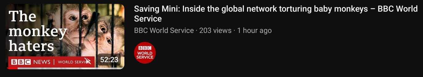 Screenshot_20230619_190838_YouTube.jpg