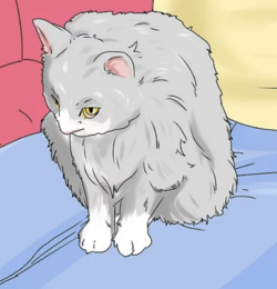 tumblr_01437dcc43d60b8134d01810feb9bd9d_c068732e_1280.png