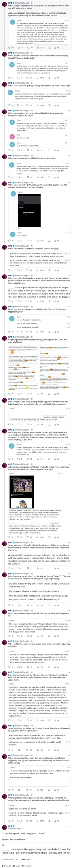 RPG-on-Twitter-I-don-t-want-you-to-think-I-am-gay-cuz-I-m-not-Spoken-like-a-true-hetero-https-...png