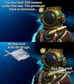 1687462791997817.png