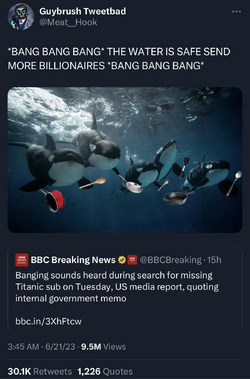orcas.png