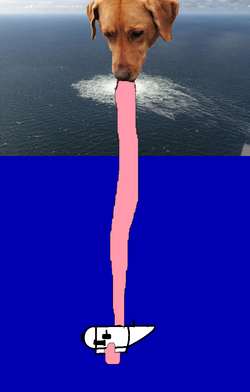 1687309170935554.png