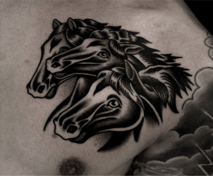 am_horses_copy.104d7191.png