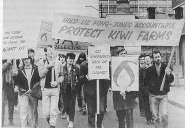 Irish protestors stop violence against kiwifarms.jpg