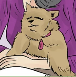 tumblr_46ef2fe82bbdf5a2f35a5ca3cf70138f_80a17e97_500.png