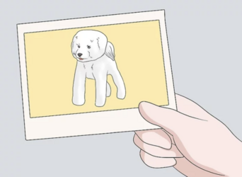 tumblr_7141d734866b313b67ff64c0df05eeca_78b32303_1280.png