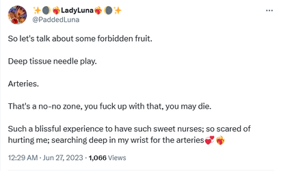 paddedlunaneedle.png