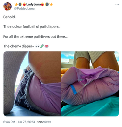 paddedlunachemodiaper.png