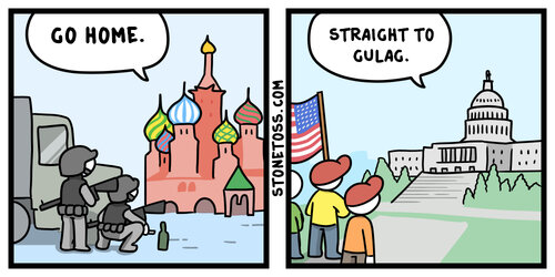 wagner-coup-jan-6-stonetoss-comic.jpg