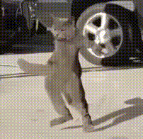 1663901347396323.gif