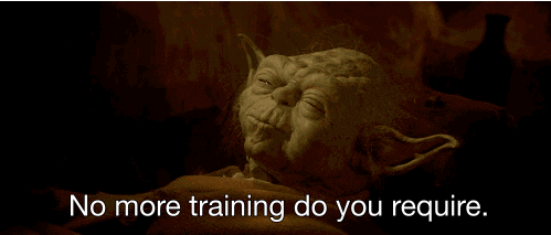 no more training.gif