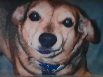 mugsy.jpg