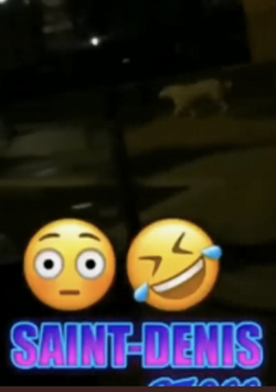 1688149199518.png
