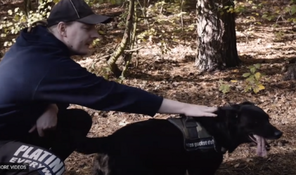 poorpupper.png