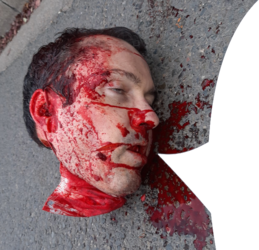 t. culturally enriched.png