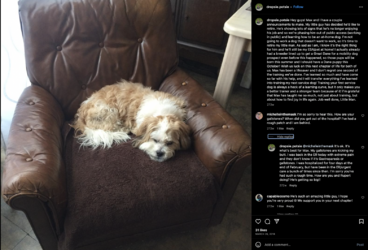 Screen_Shot_2023-06-15_at_4.47.32_PM.png