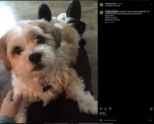 Screen_Shot_2023-06-15_at_6.02.37_PM.png