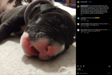 Screen_Shot_2023-06-15_at_7.50.04_PM.png