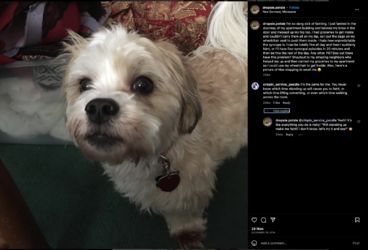 Screen_Shot_2023-06-16_at_1.40.45_PM.png