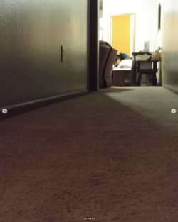 Screen_Shot_2023-06-16_at_2.33.30_PM.png