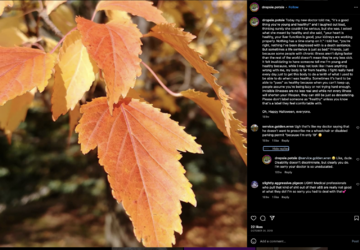 Screenshot_2023-06-18_at_12.03.42_AM.png