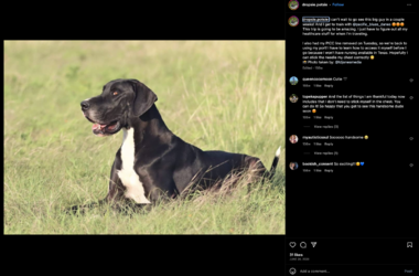 Screenshot_2023-06-18_at_12.30.47_AM.png