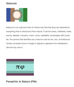 pin.png