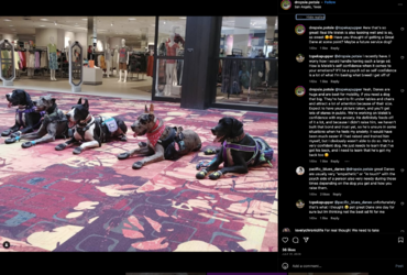 Screenshot_2023-06-18_at_12.37.00_AM.png