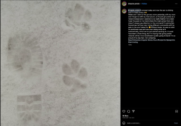 Screenshot_2023-06-18_at_4.11.22_PM.png