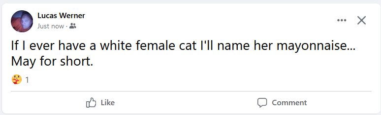 mayo cat.png
