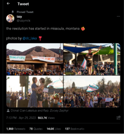 izzyprotesttweet.png